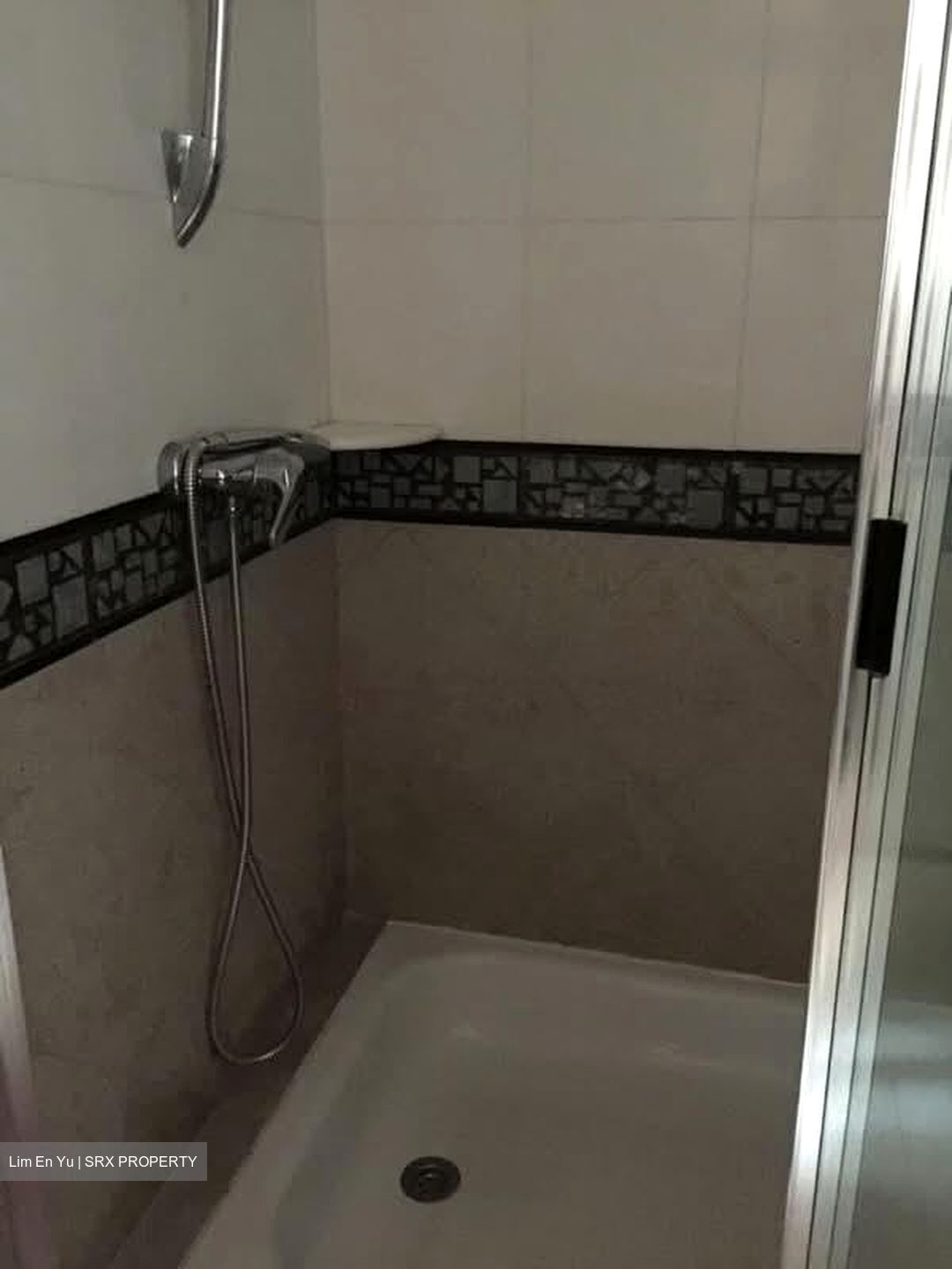 The Legend (D10), Condominium #583439711